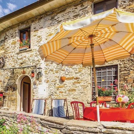 Casa Poggio Delle Farfalle Stazzema Dış mekan fotoğraf