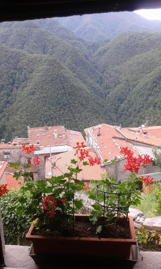 Casa Poggio Delle Farfalle Stazzema Dış mekan fotoğraf